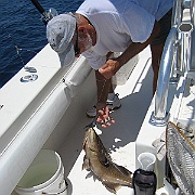 Picture 017